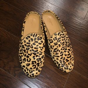 Cheetah Mules